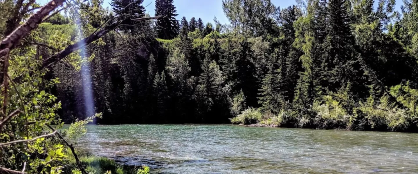 the river