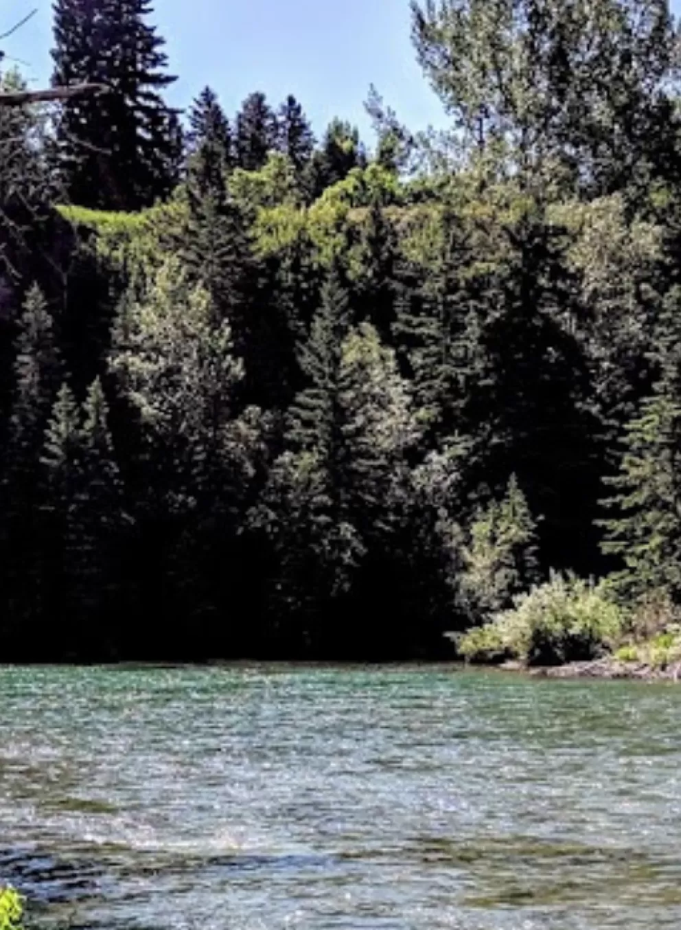 the river