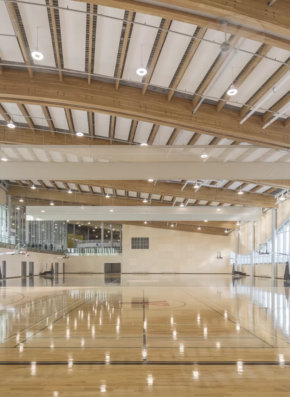 Shane Homes YMCA at Rocky Ridge Gym